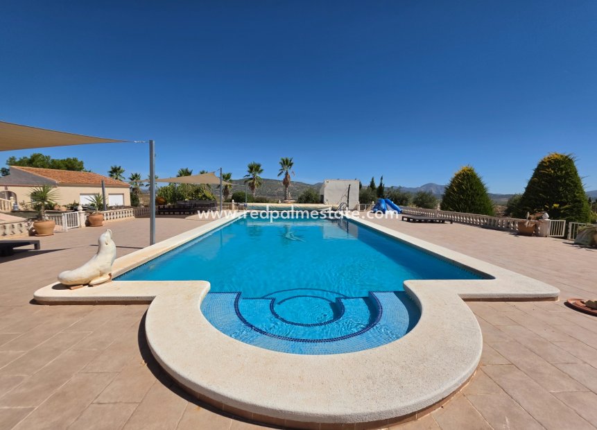 Reventa - Villa -
Pinoso - Inland