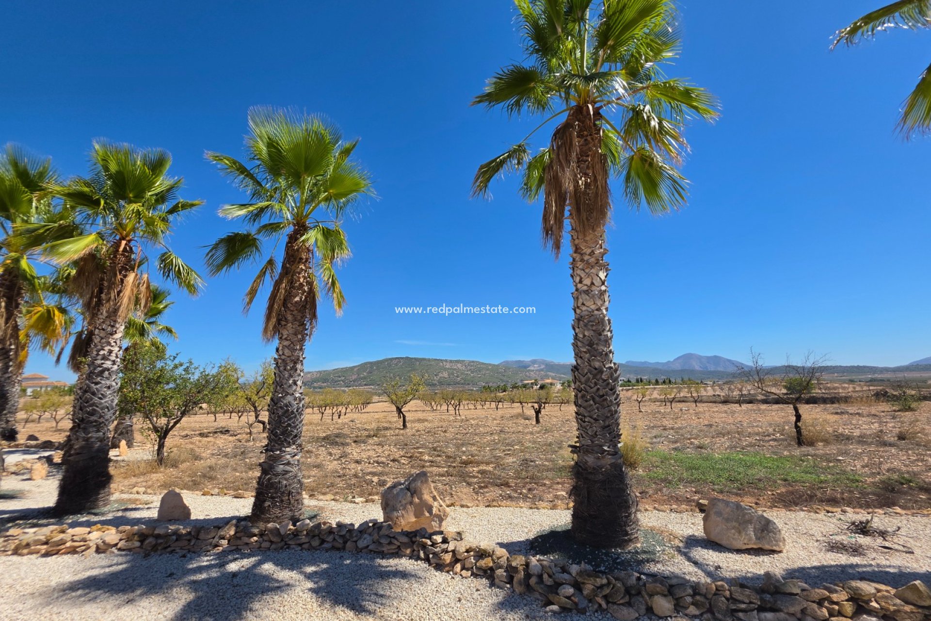 Reventa - Villa -
Pinoso - Inland