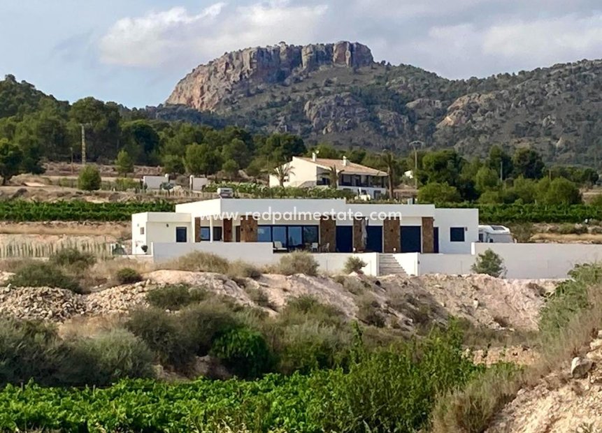 Reventa - Villa -
Pinoso - Inland