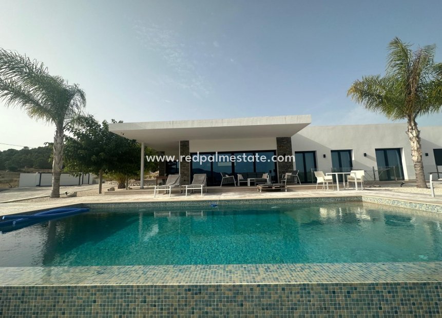 Reventa - Villa -
Pinoso - Inland