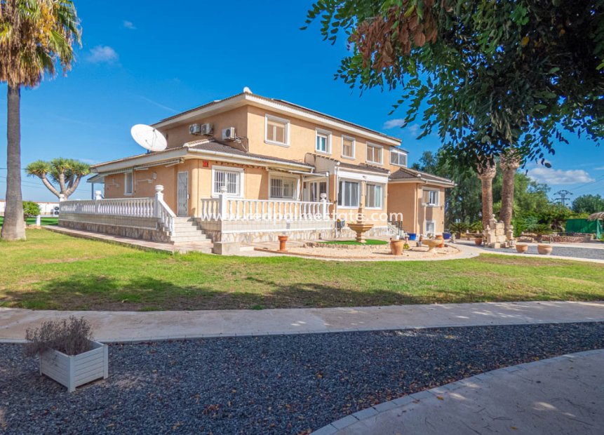 Reventa - Villa -
San Miguel de Salinas - Inland