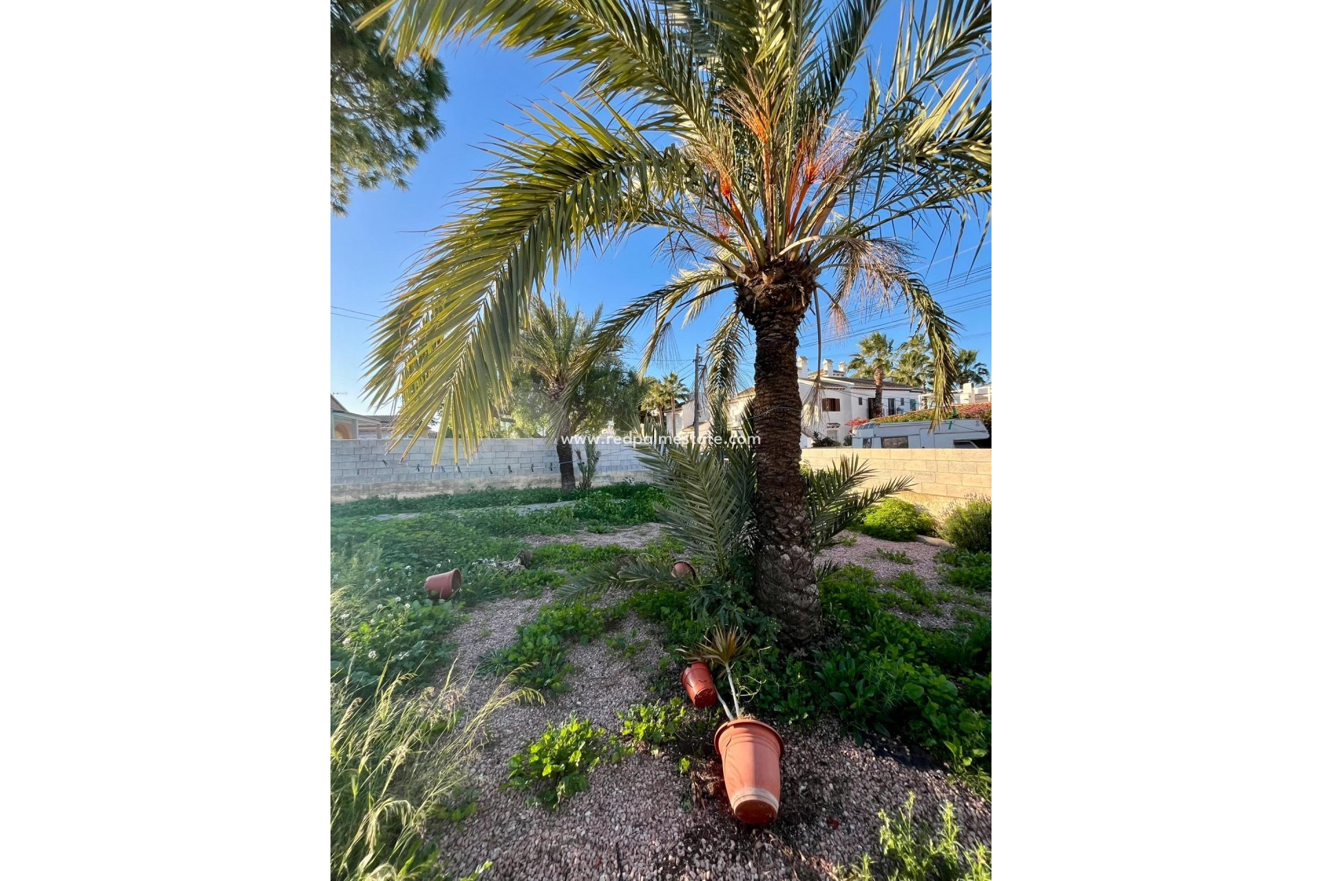 Reventa - Villa -
Torrevieja - Aguas Nueva