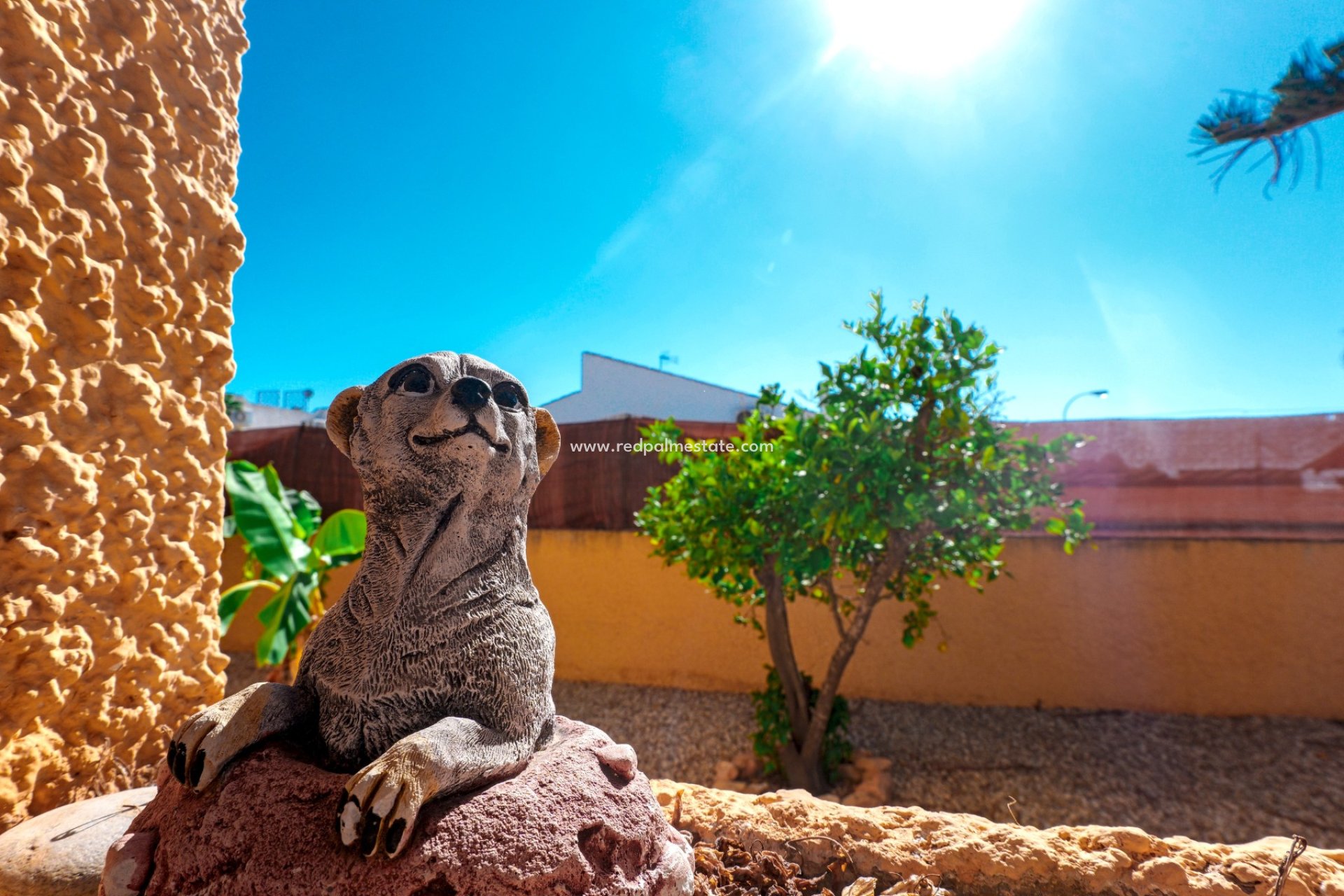 Reventa - Villa -
Torrevieja - Costa Blanca