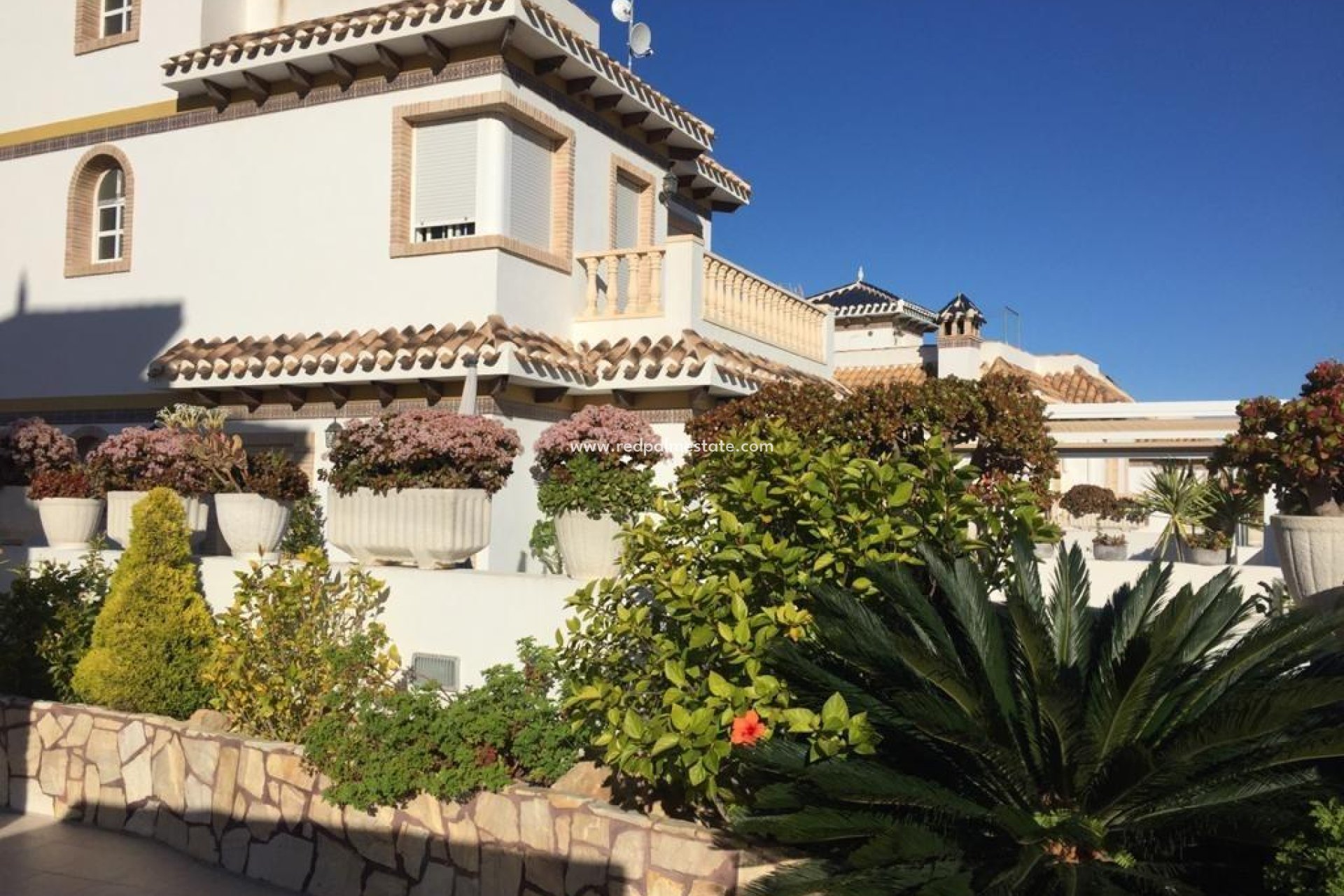Reventa - Villa -
Torrevieja - La Mata