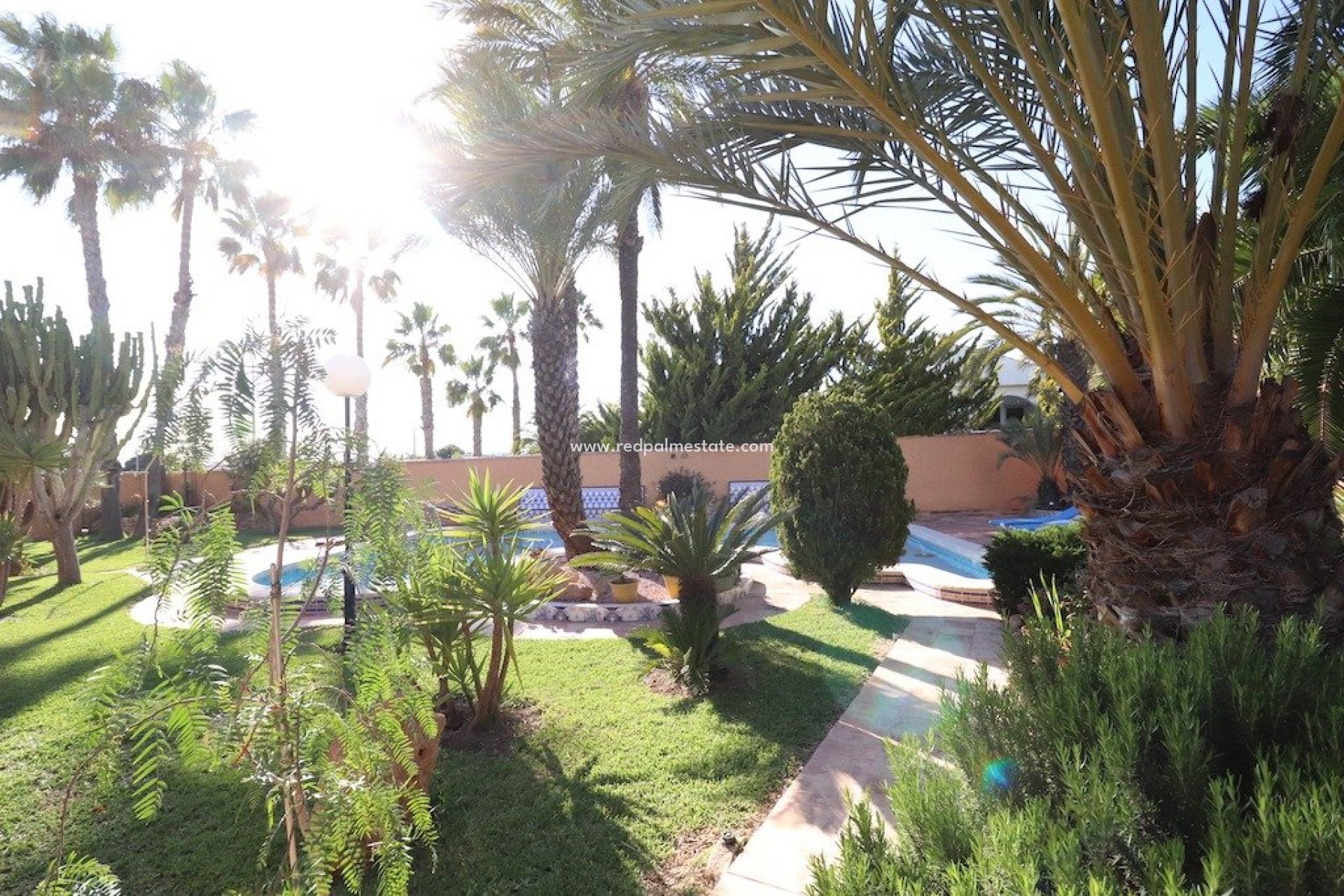 Reventa - Villa -
Torrevieja - La Siesta - El Salado - Torreta