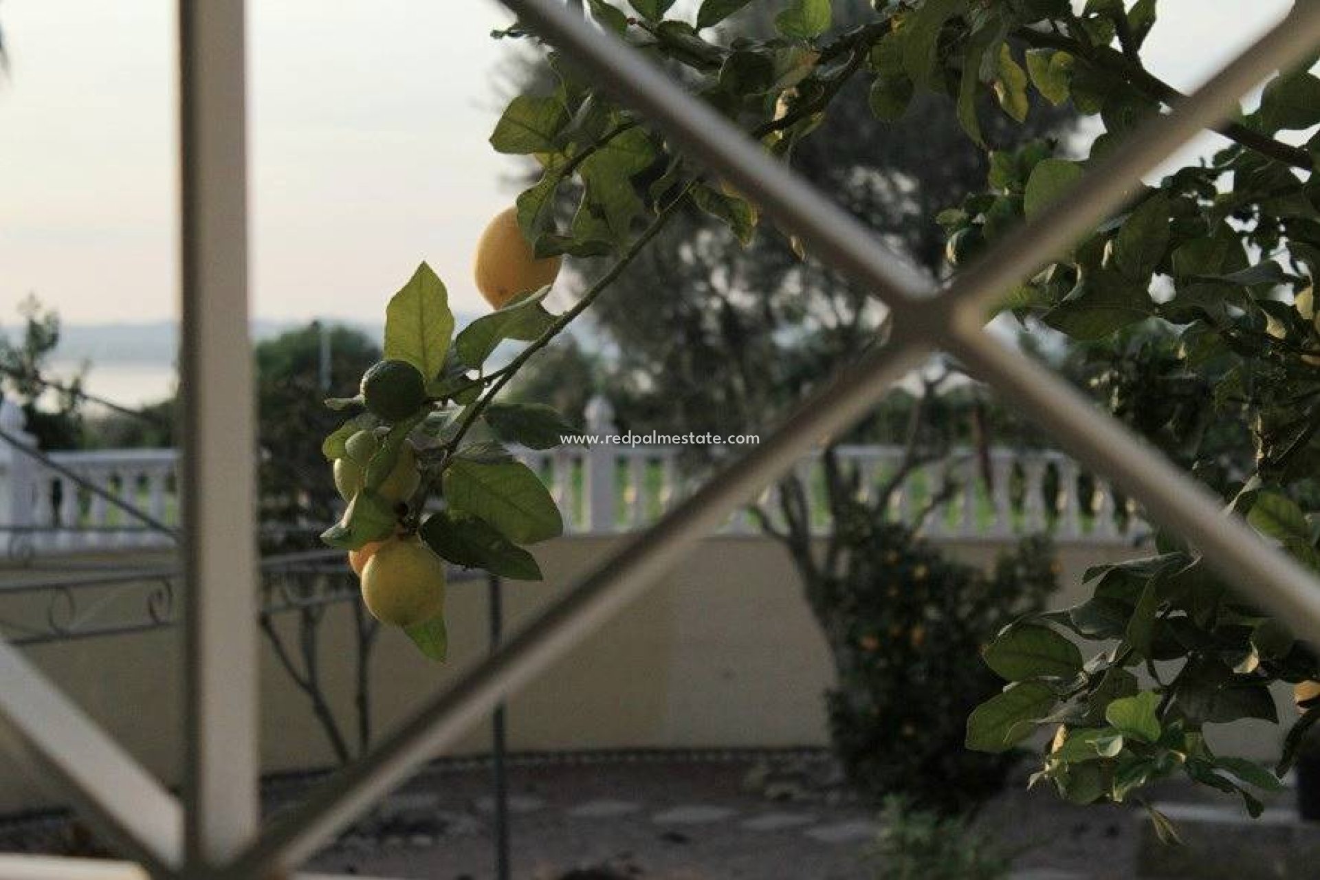 Reventa - Villa -
Torrevieja - La Siesta - El Salado -  Torreta