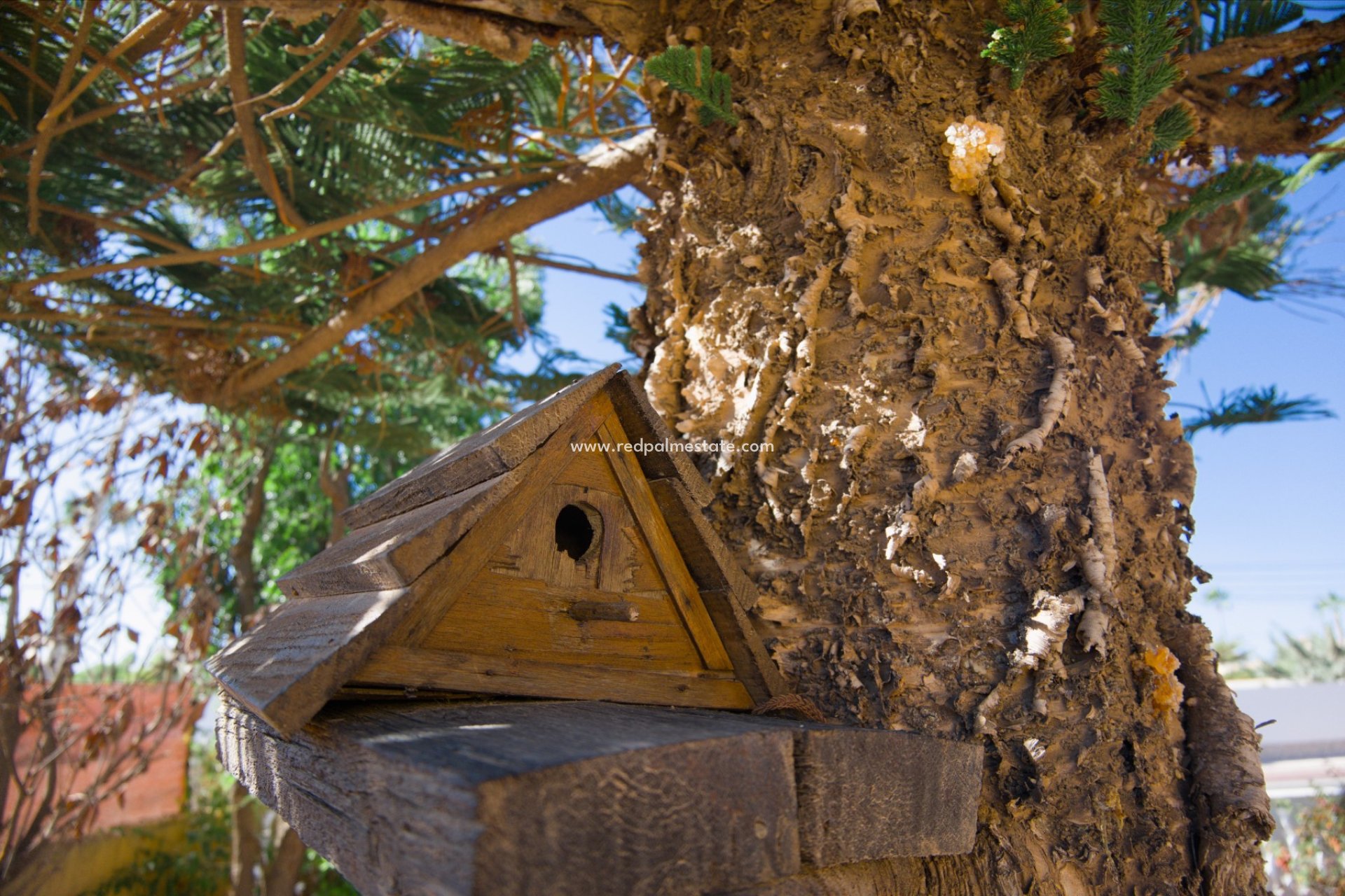 Reventa - Villa -
Torrevieja - La Siesta - El Salado - Torreta