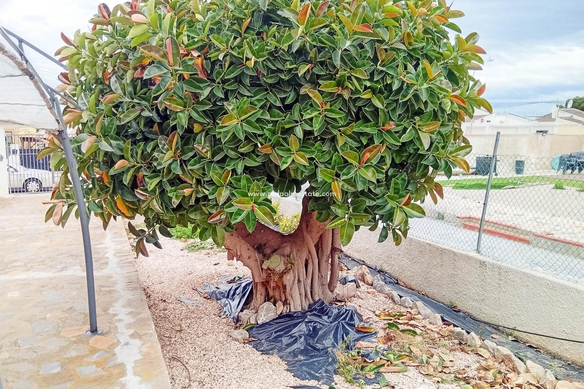 Reventa - Villa -
Torrevieja - La Siesta - El Salado - Torreta