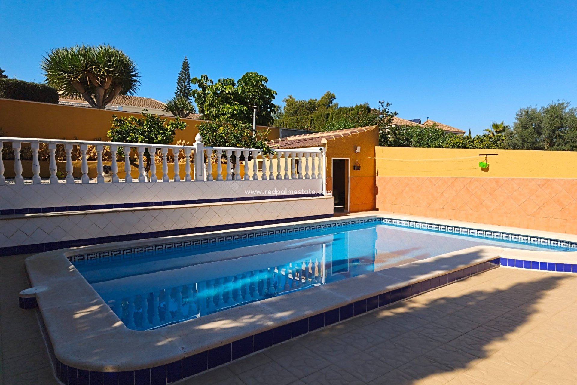 Reventa - Villa -
Torrevieja - Los balcones