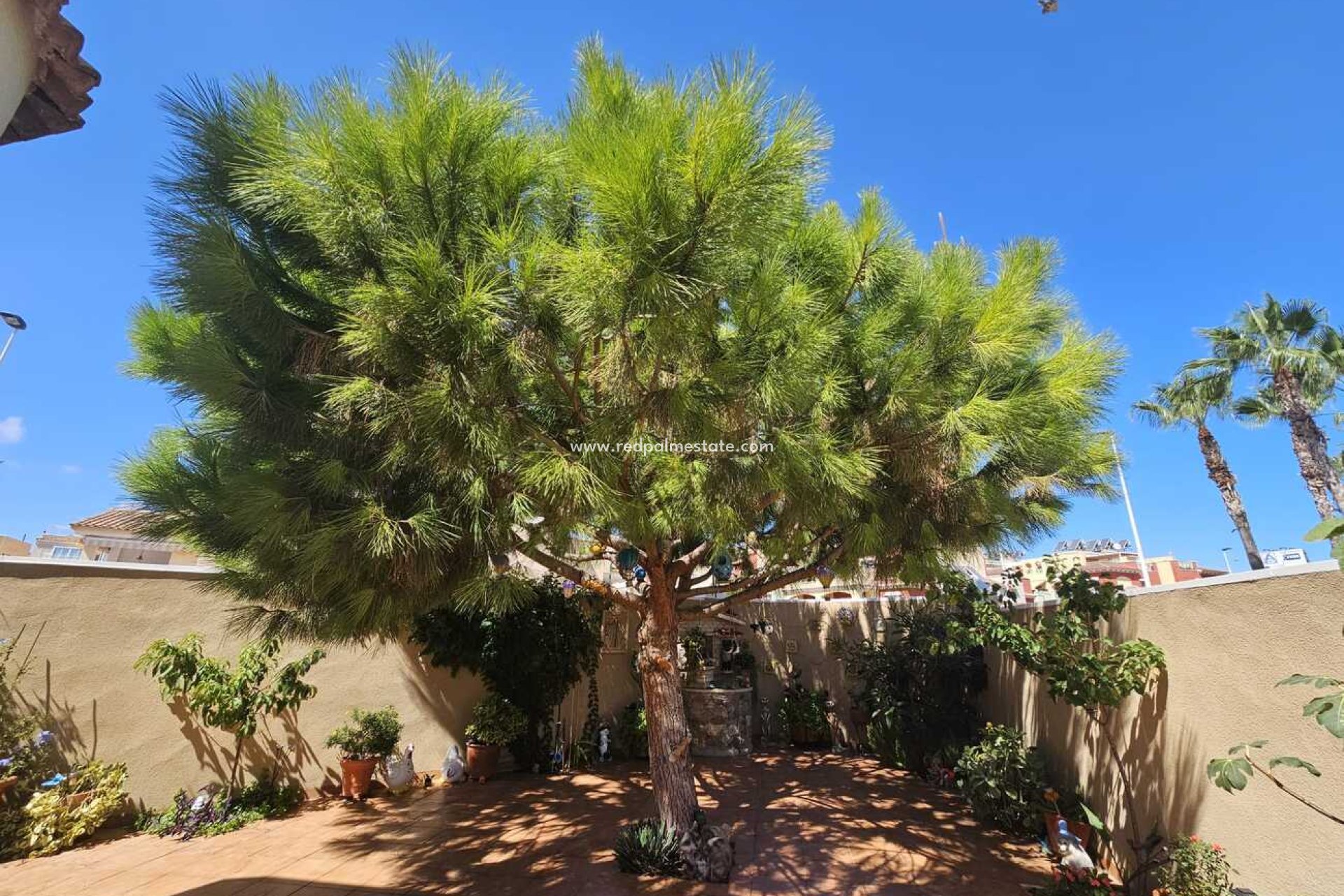 Reventa - Villa -
Torrevieja - Torre del moro