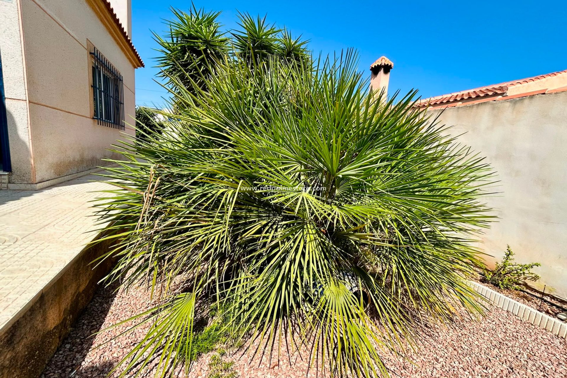 Reventa - Villa -
Torrevieja - Urbanización San Luis