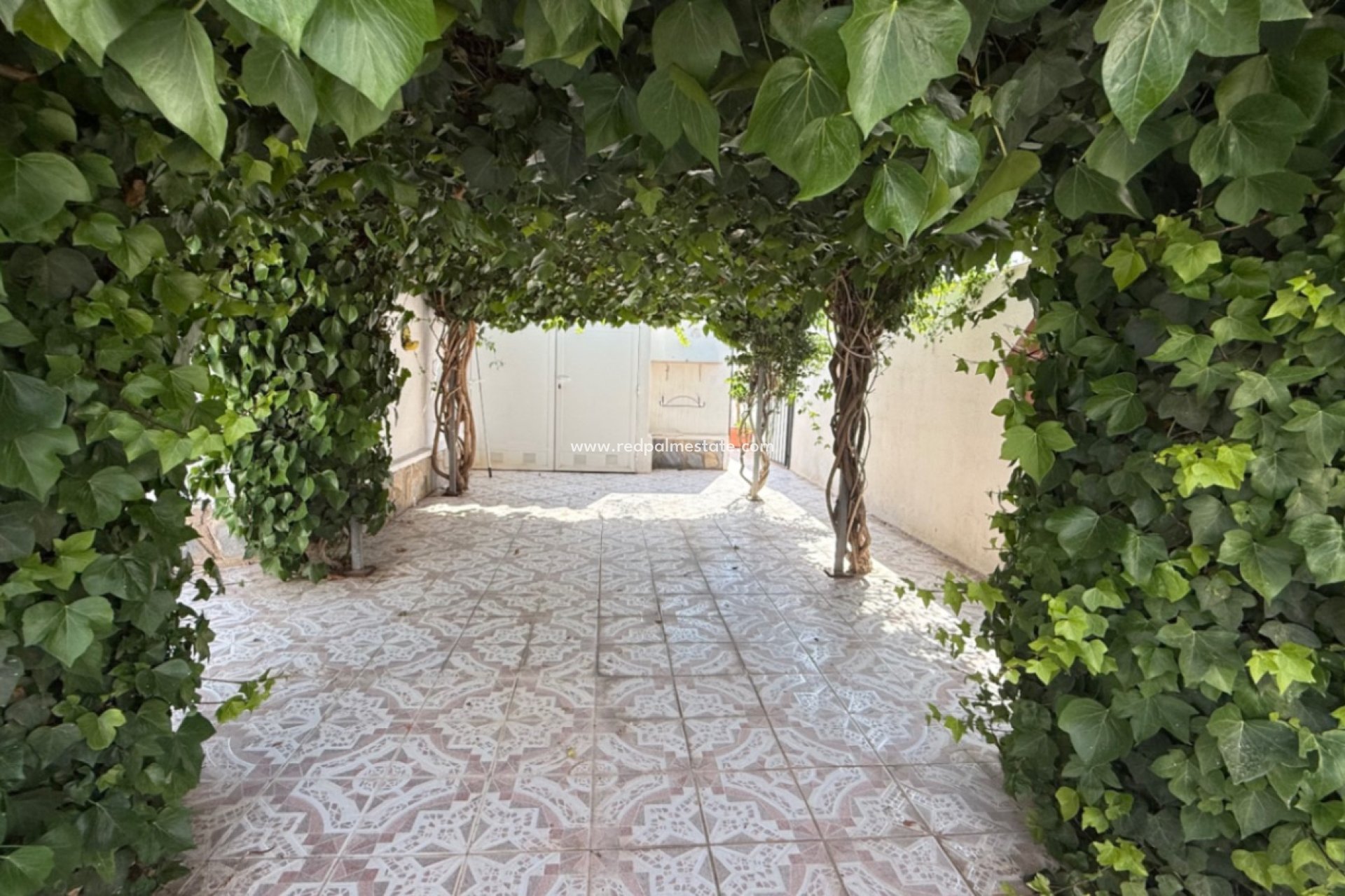 Reventa - Villa -
Torrevieja