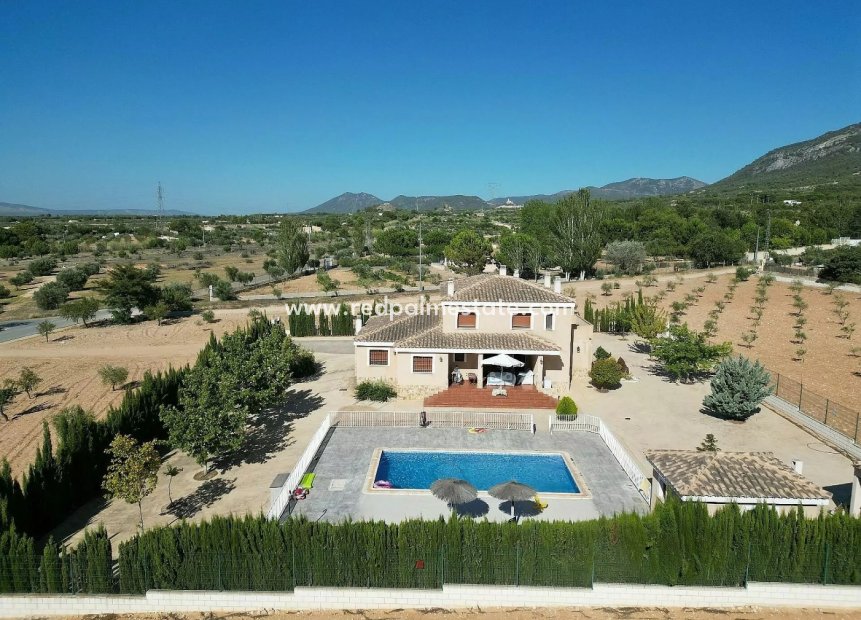 Reventa - Villa -
Villena