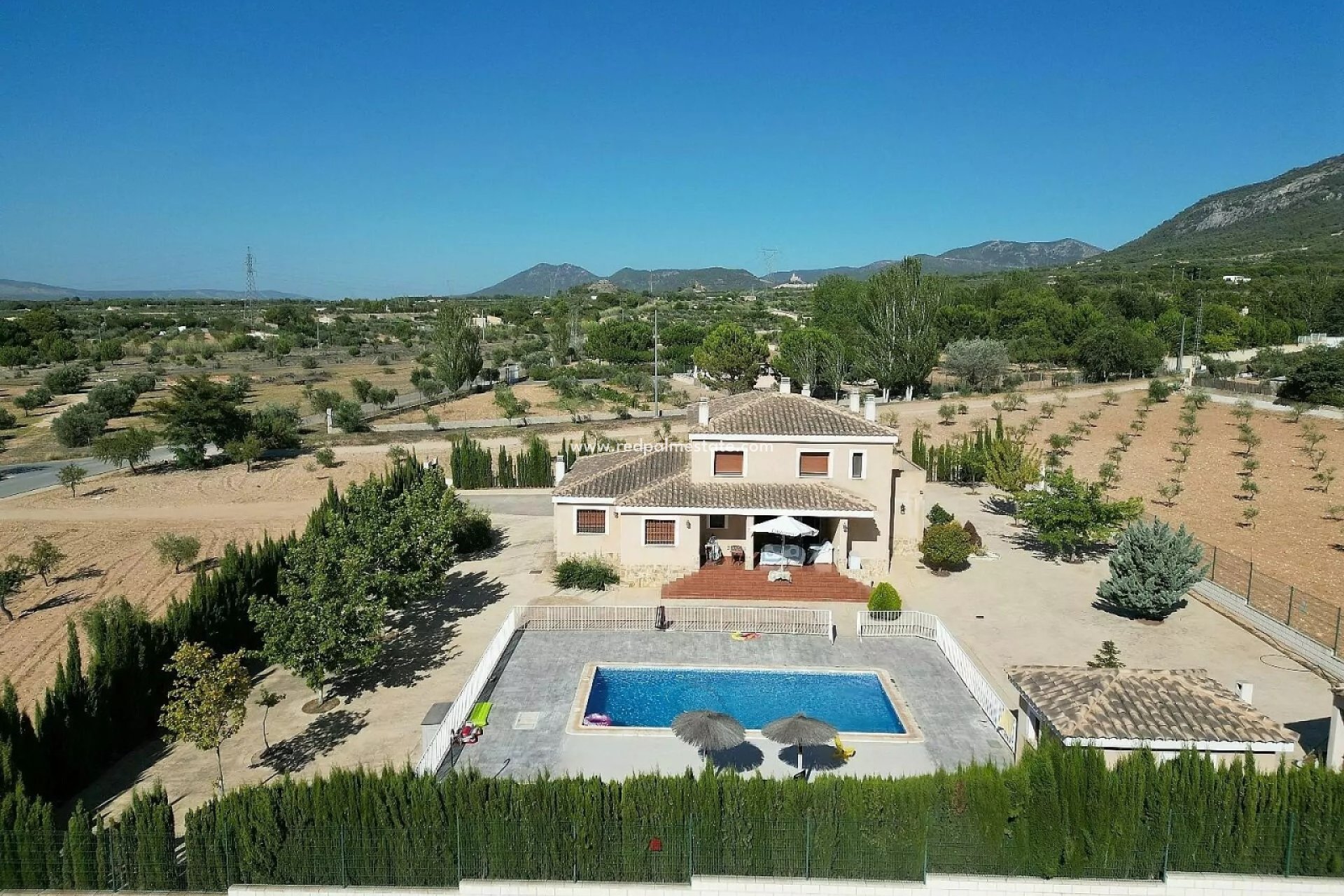 Reventa - Villa -
Villena