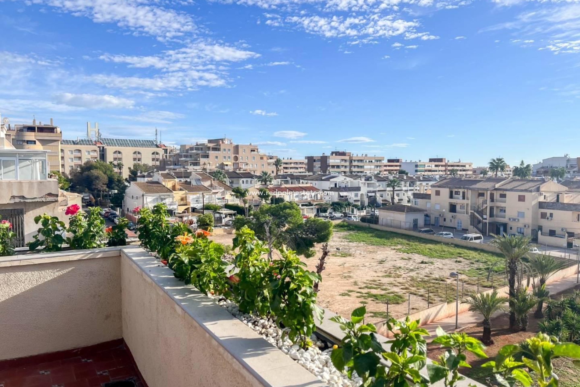 Revente - Apartamento -
Torrevieja - Punta prima