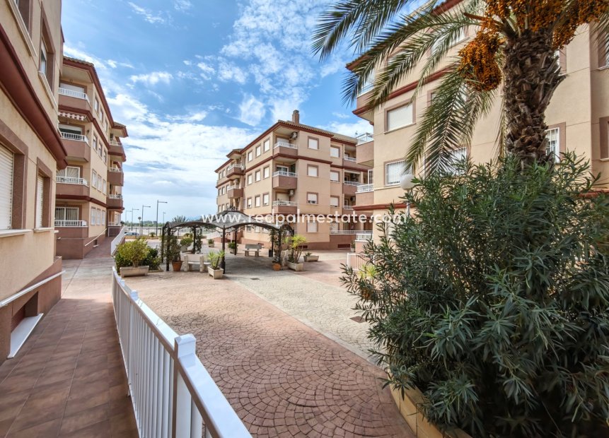 Revente - Appartement -
Algorfa - Inland