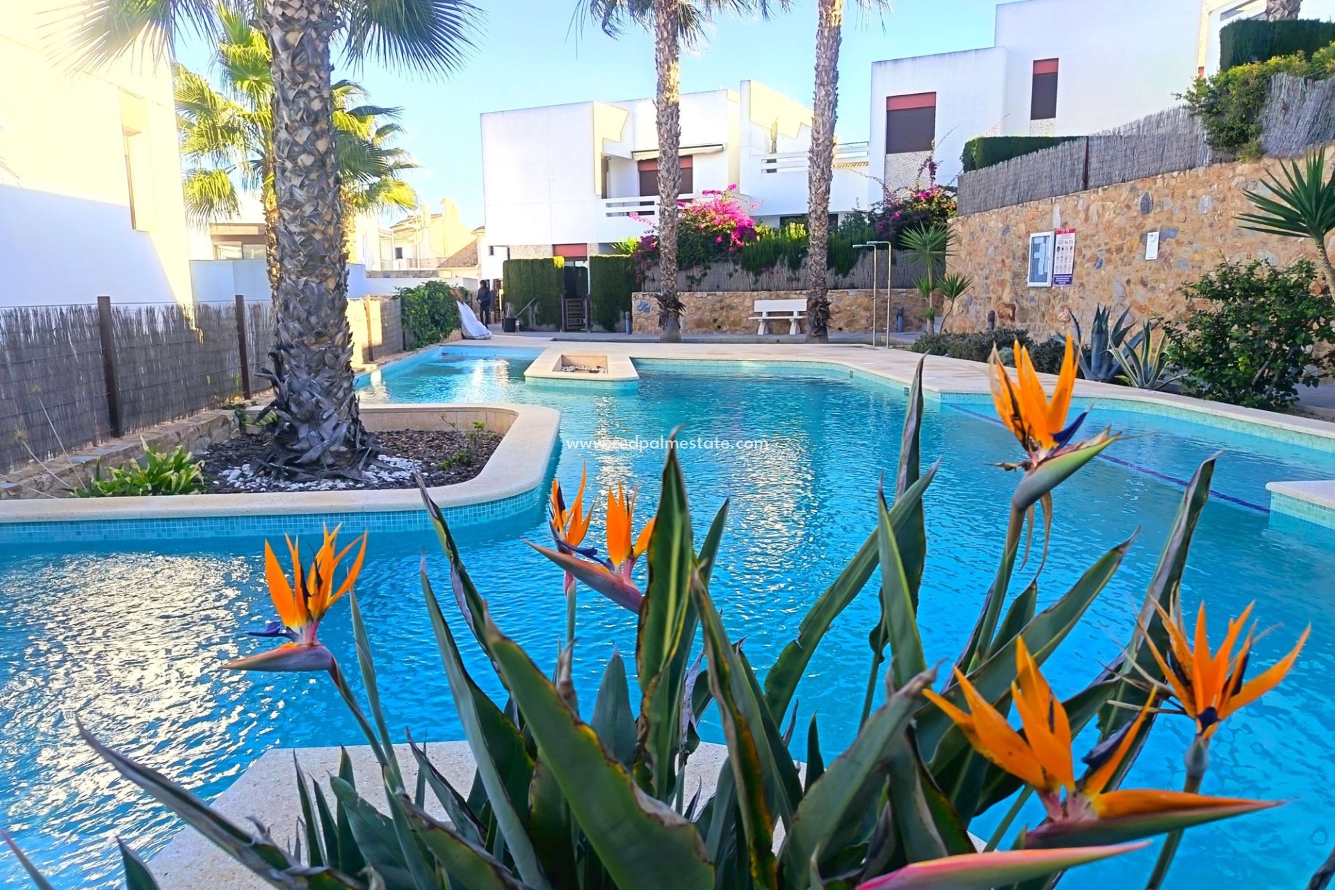 Revente - Appartement -
Algorfa - Inland