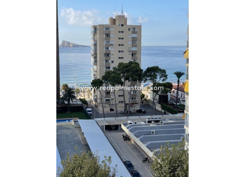 Revente - Appartement -
Benidorm - Costa Blanca