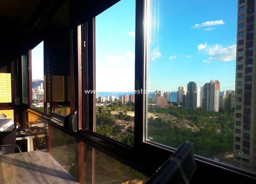 Revente - Appartement -
Benidorm - Costa Blanca