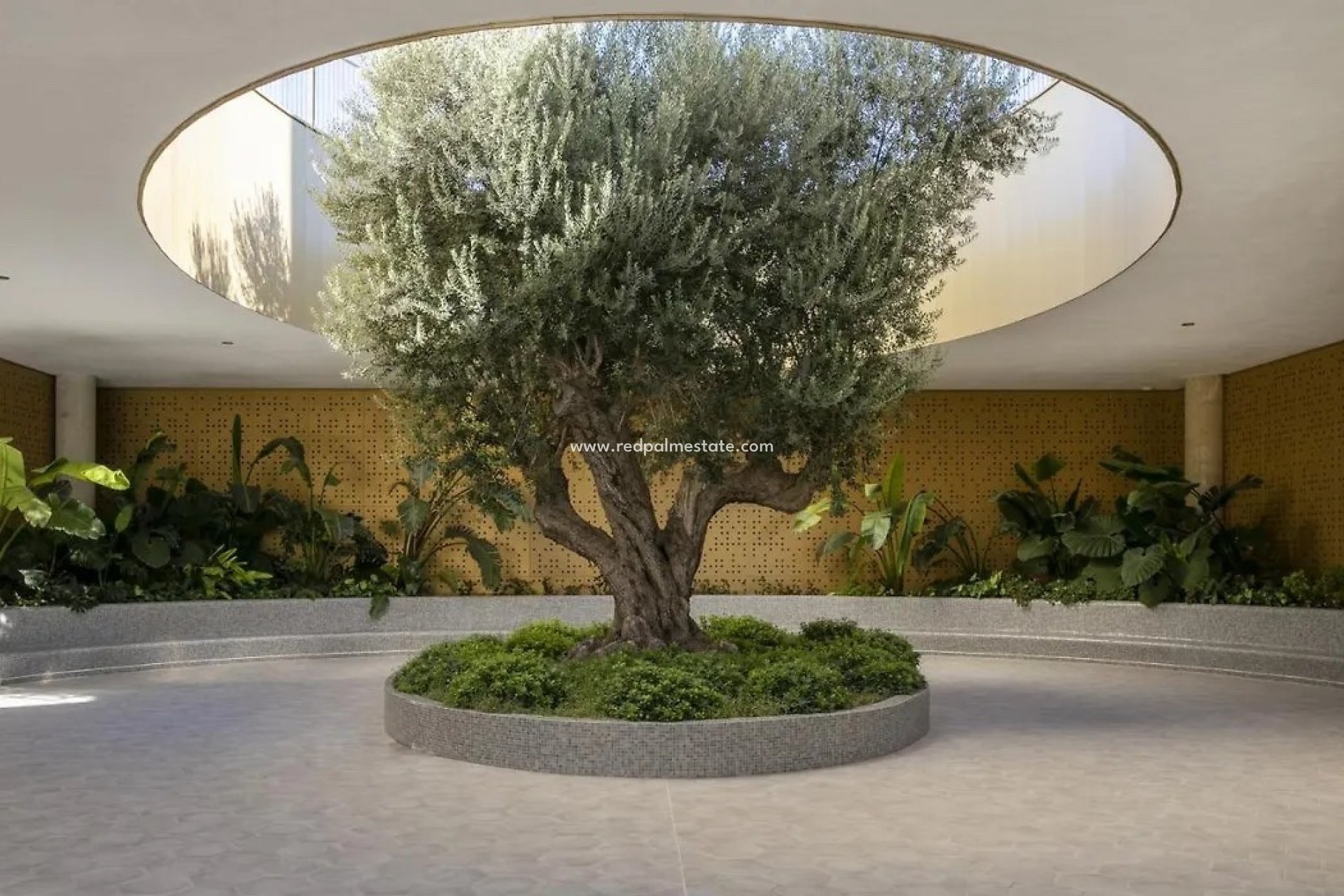 Revente - Appartement -
Benidorm