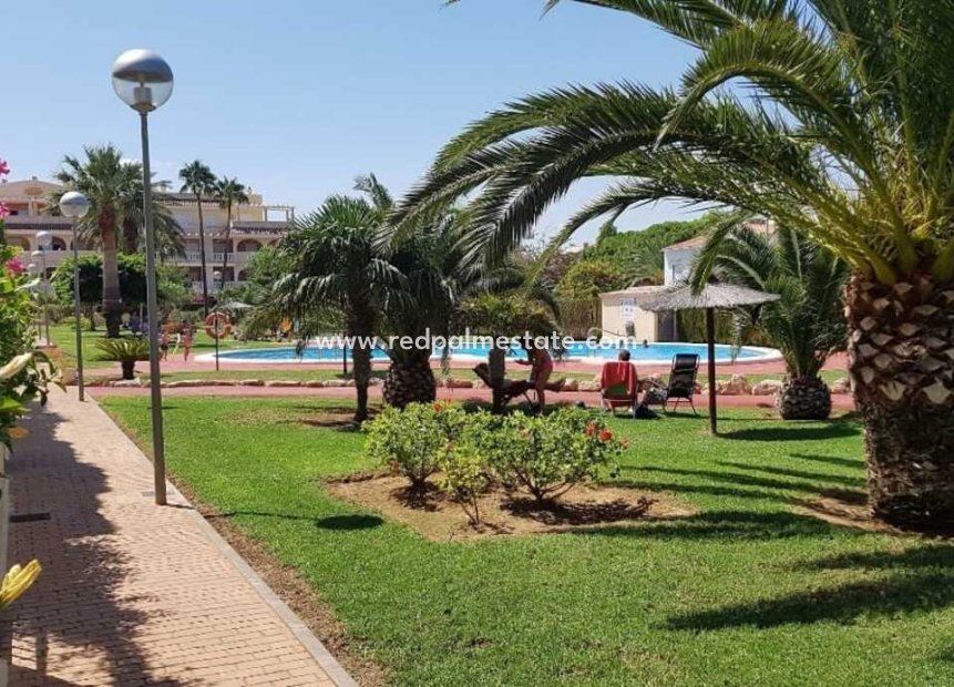 Revente - Appartement -
Denia