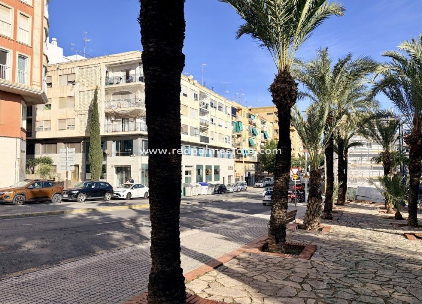 Revente - Appartement -
Elche - Costa Blanca