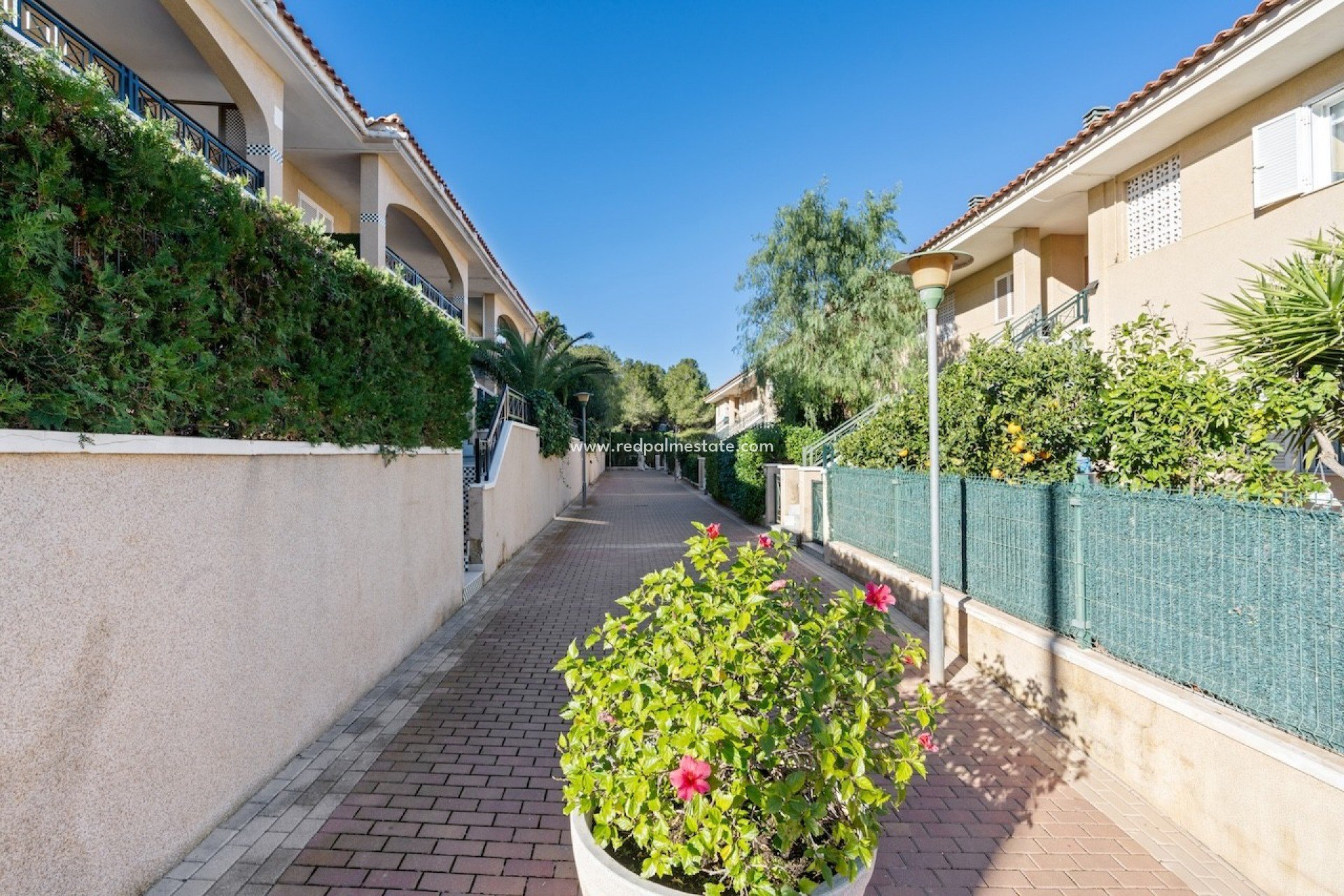 Revente - Appartement -
Gran Alacant - Novamar