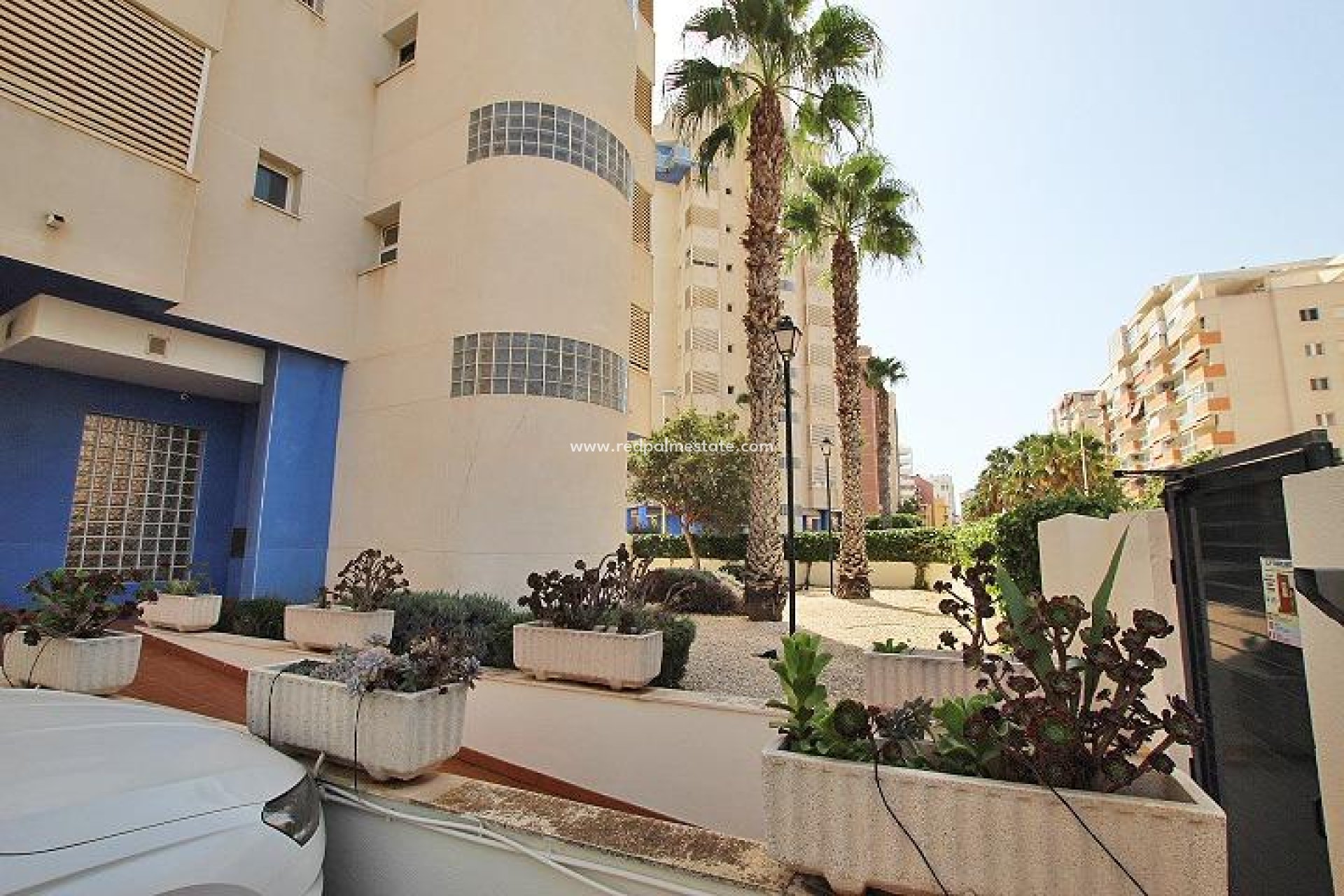 Revente - Appartement -
Guardamar del Segura - Avenida del Puerto