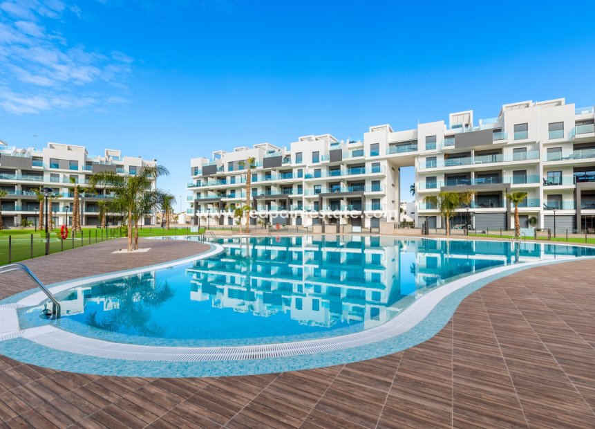 Revente - Appartement -
Guardamar del Segura - Costa Blanca