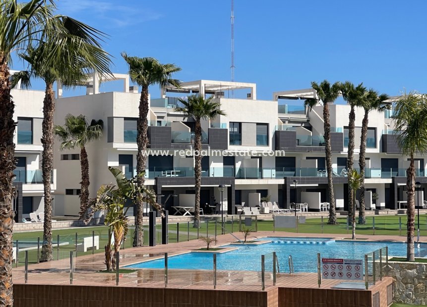 Revente - Appartement -
Guardamar del Segura - Costa Blanca