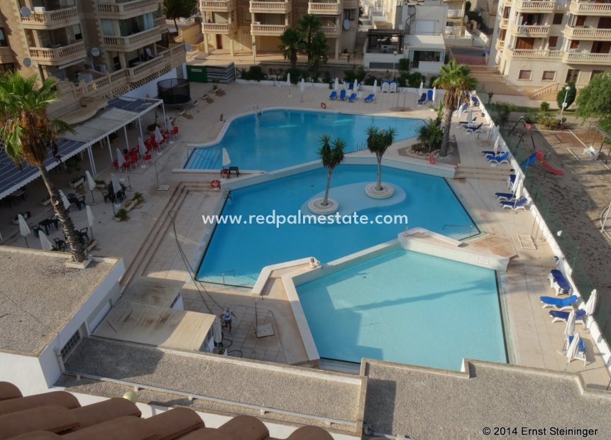 Revente - Appartement -
Guardamar del Segura - Costa Blanca