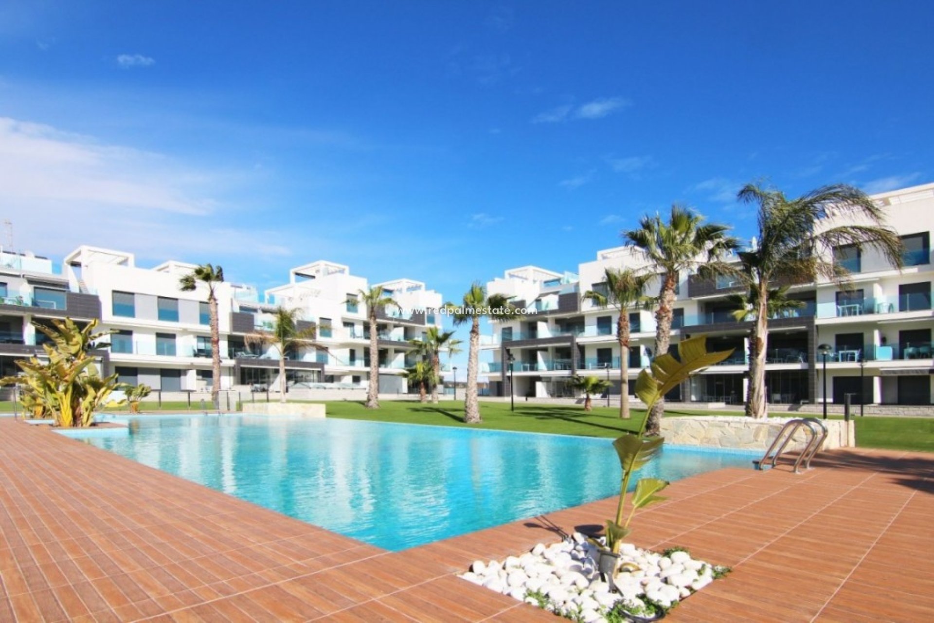 Revente - Appartement -
Guardamar del Segura - El Raso