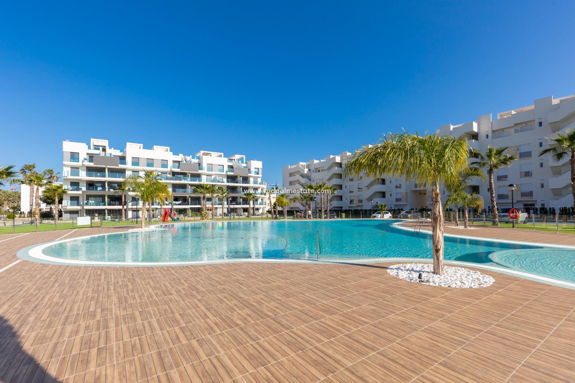 Revente - Appartement -
Guardamar del Segura - El Raso