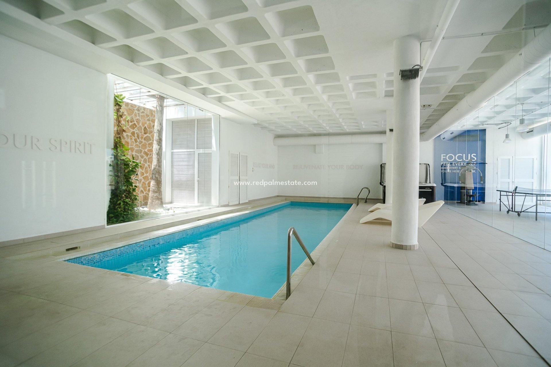Revente - Appartement -
Guardamar del Segura - Guardamar