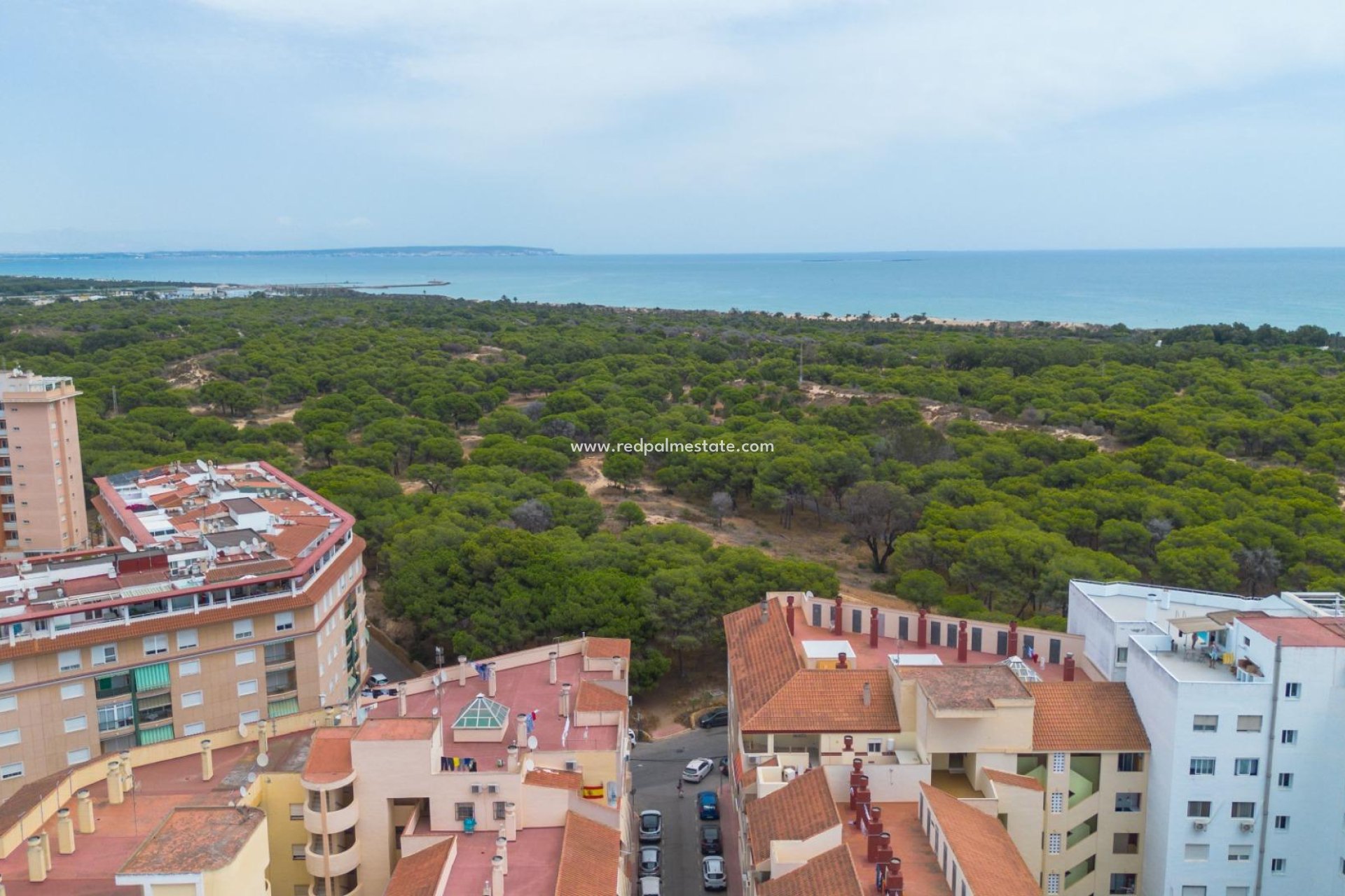 Revente - Appartement -
Guardamar del Segura - Guardamar