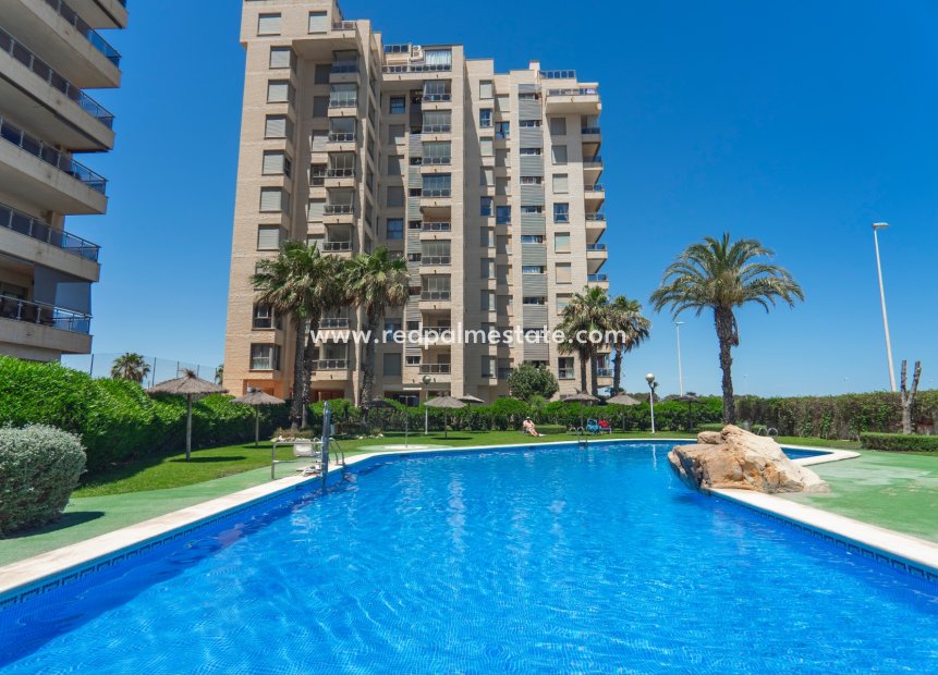 Revente - Appartement -
Guardamar del Segura - Guardamar
