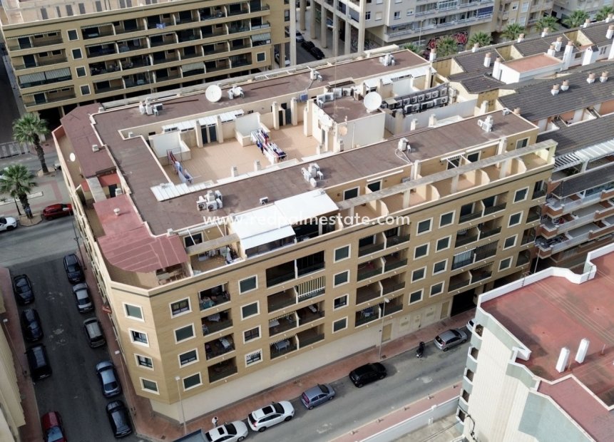 Revente - Appartement -
Guardamar del Segura
