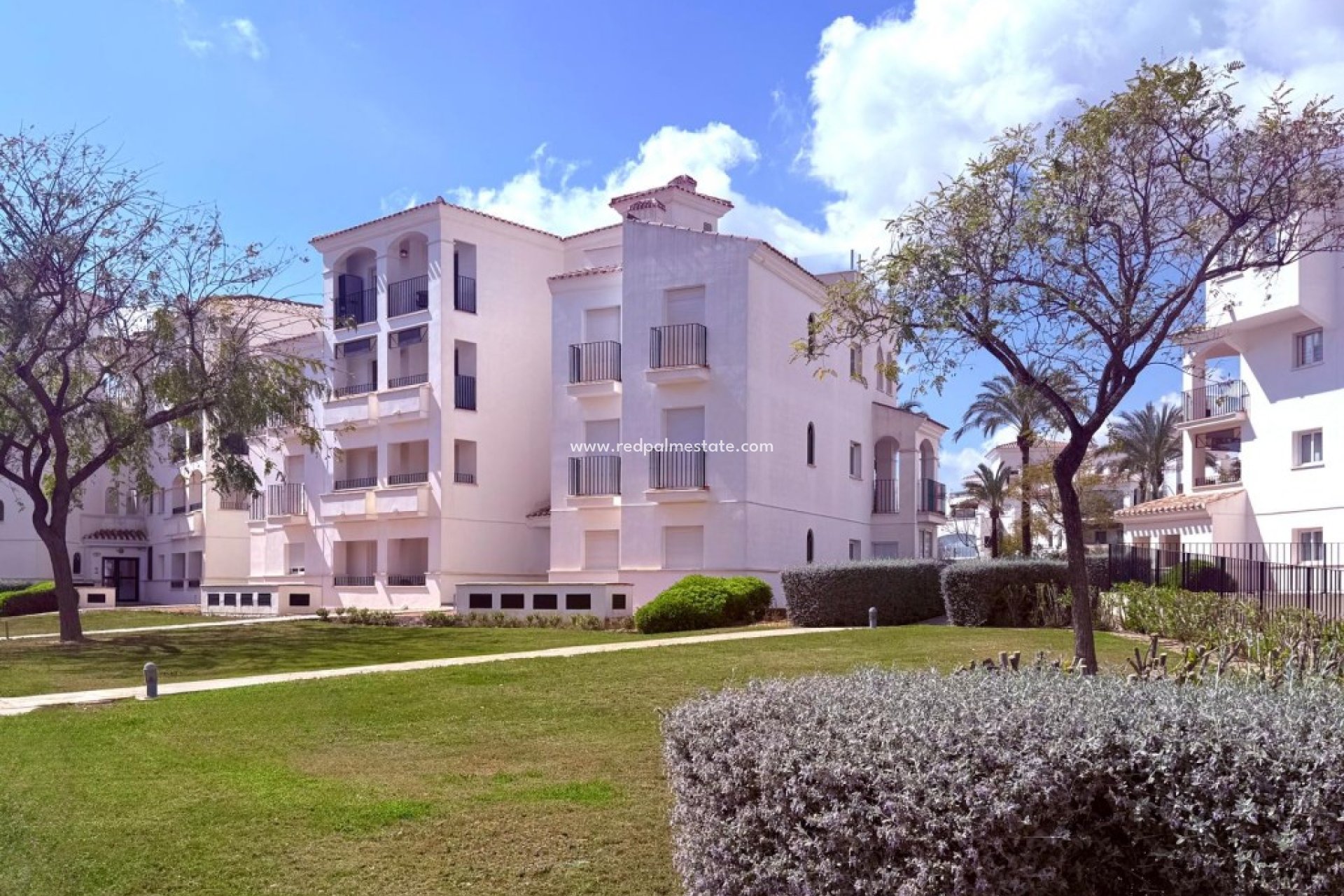 Revente - Appartement -
Hacienda Riquelme Golf Resort - Inland