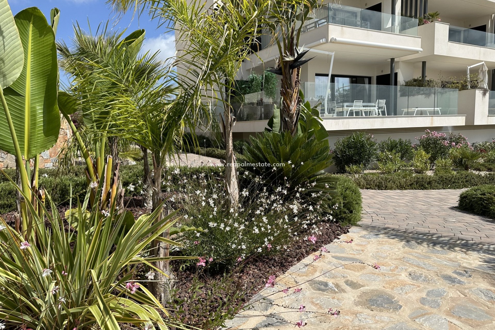 Revente - Appartement -
Las Colinas Golf