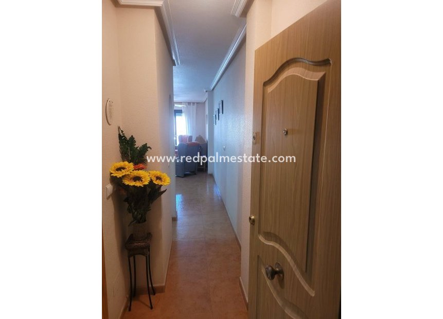 Revente - Appartement -
Los Alczares - Lomas Del Rame