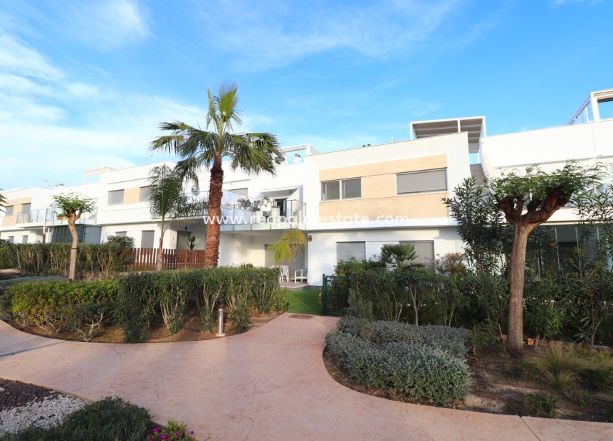 Revente - Appartement -
Montesinos - Los Montesinos