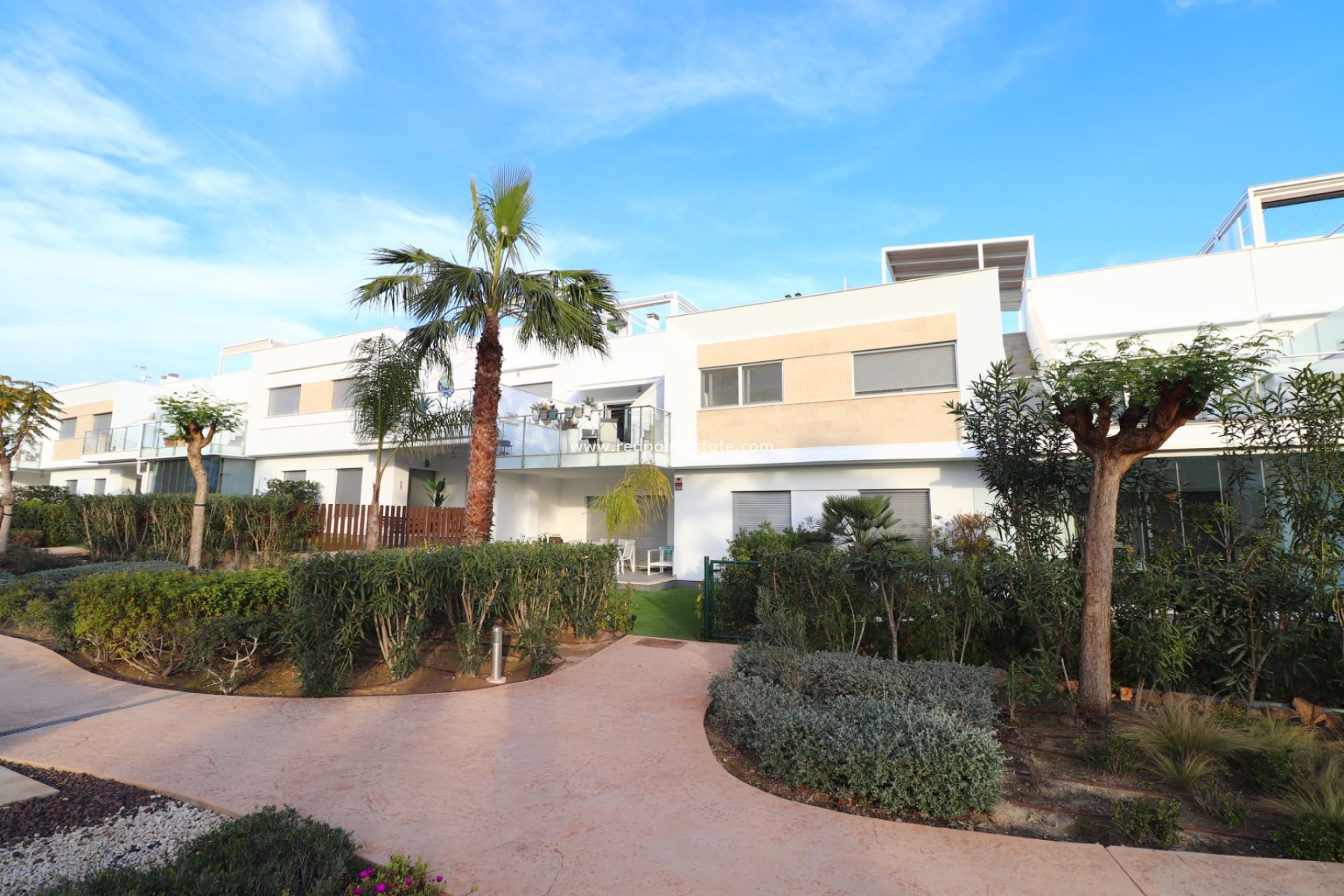 Revente - Appartement -
Montesinos - Los Montesinos