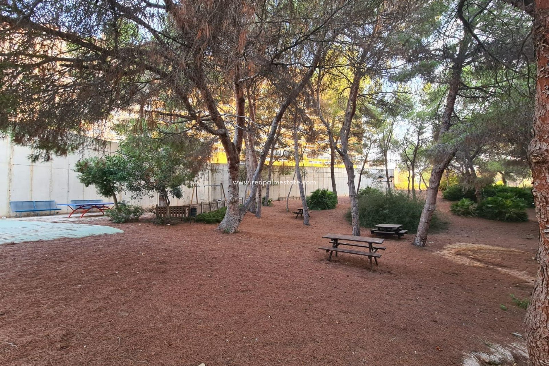 Revente - Appartement -
Orihuela Costa - Campoamor