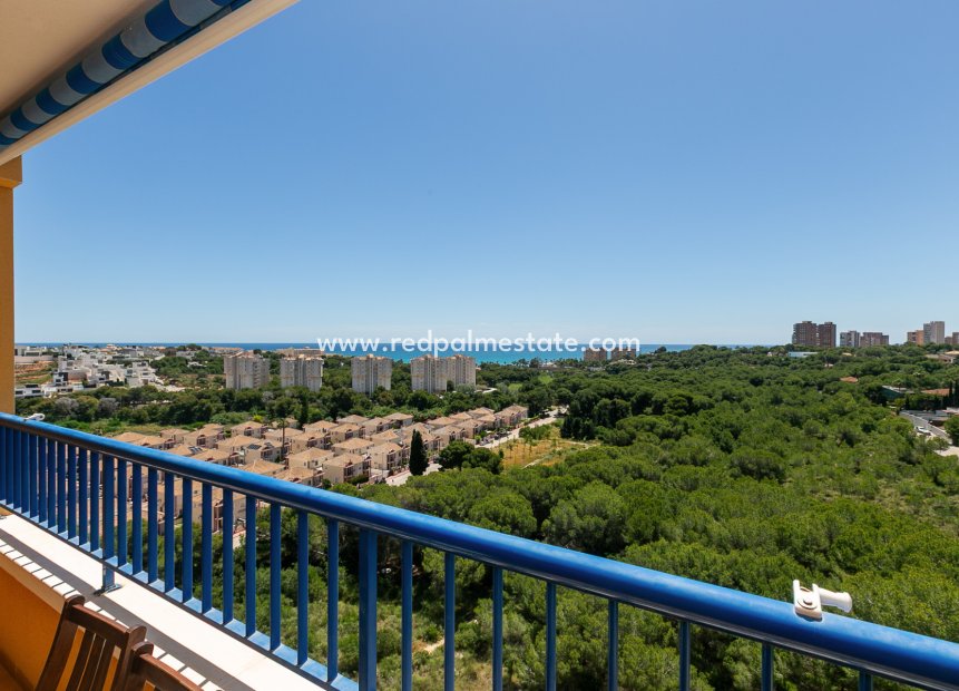 Revente - Appartement -
Orihuela Costa - Dehesa de Campoamor