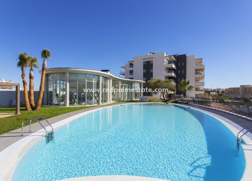 Revente - Appartement -
Orihuela Costa - Inland