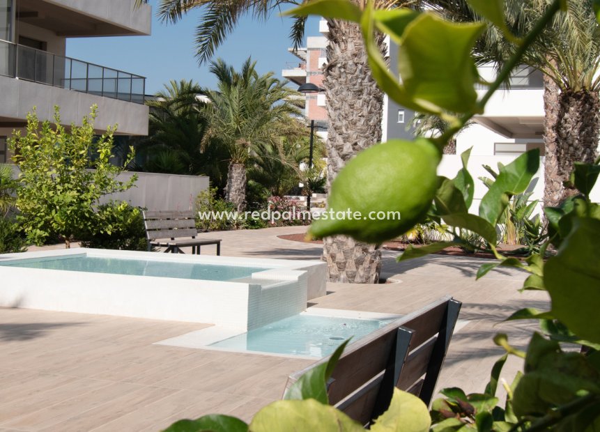 Revente - Appartement -
Orihuela Costa - Los Dolses