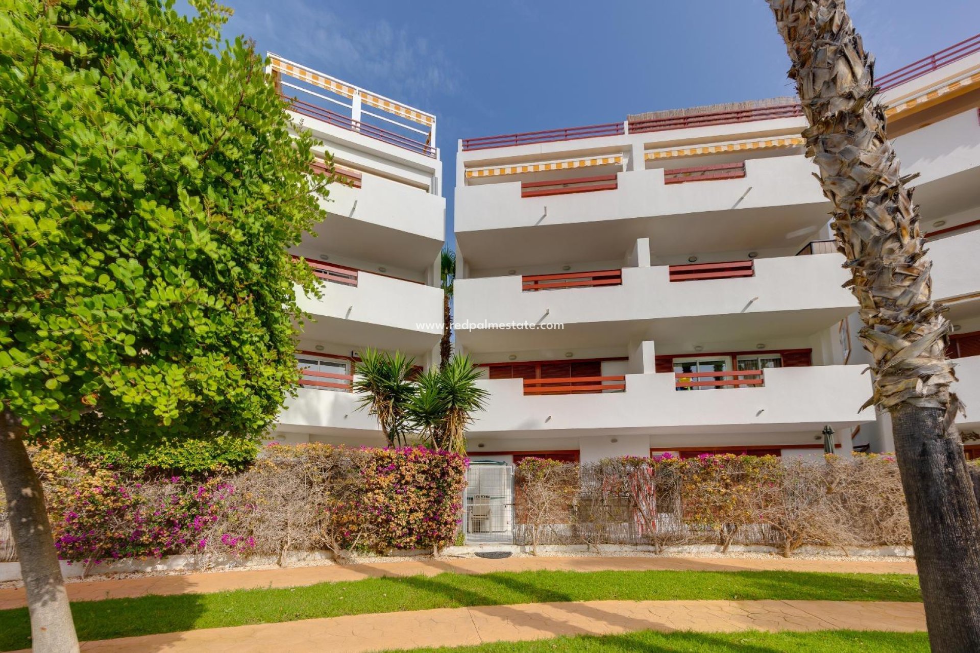 Revente - Appartement -
Orihuela Costa - Playa Flamenca
