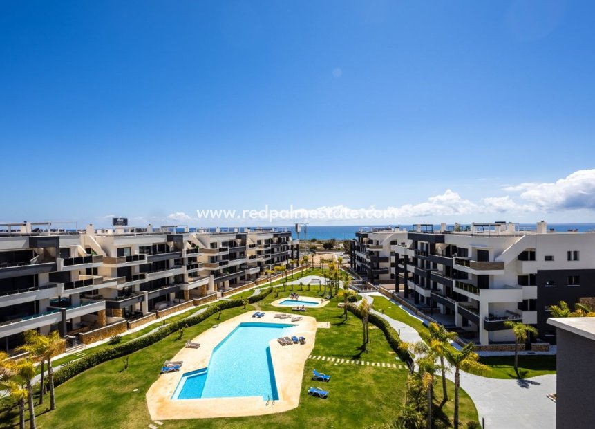Revente - Appartement -
Orihuela Costa - Playa Flamenca