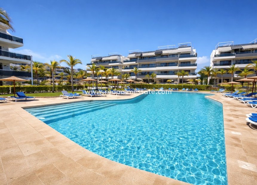 Revente - Appartement -
Orihuela Costa - Playa Flamenca