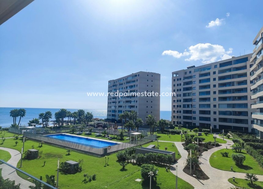 Revente - Appartement -
Orihuela Costa - Punta prima